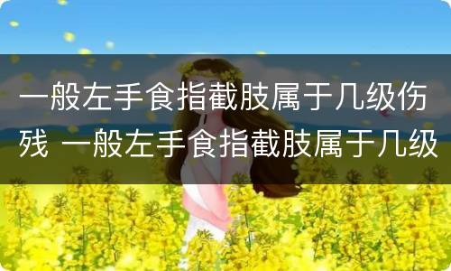 一般左手食指截肢属于几级伤残 一般左手食指截肢属于几级伤残标准