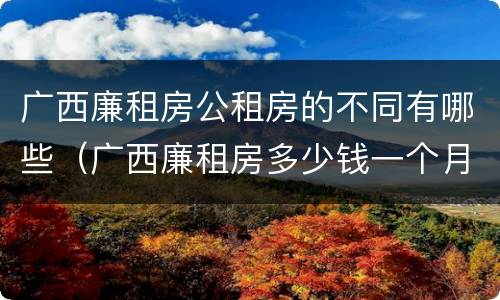 广西廉租房公租房的不同有哪些（广西廉租房多少钱一个月）