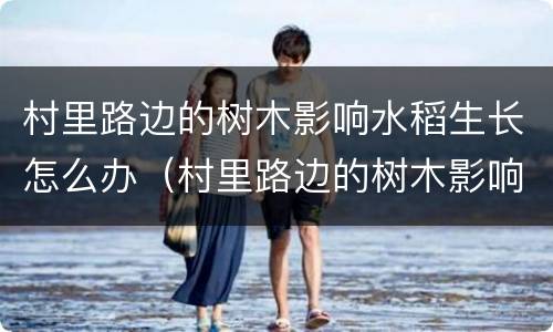 村里路边的树木影响水稻生长怎么办（村里路边的树木影响水稻生长怎么办视频）