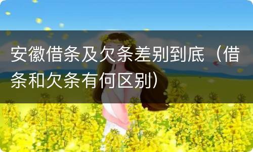 安徽借条及欠条差别到底（借条和欠条有何区别）