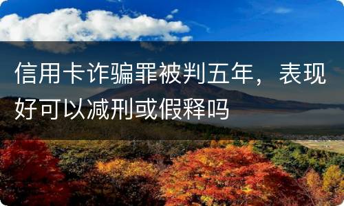 信用卡诈骗罪被判五年，表现好可以减刑或假释吗