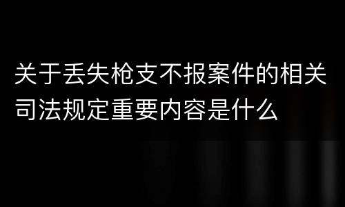关于丢失枪支不报案件的相关司法规定重要内容是什么