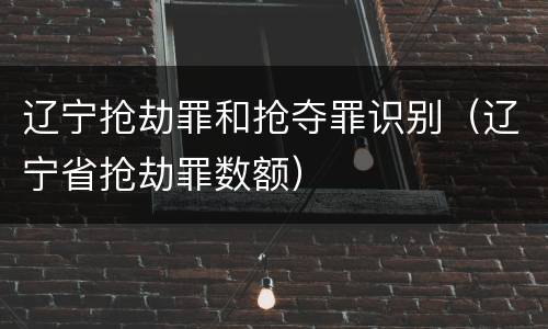 辽宁抢劫罪和抢夺罪识别（辽宁省抢劫罪数额）
