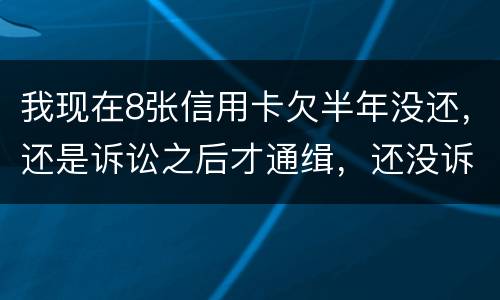 我现在8张信用卡欠半年没还，还是诉讼之后才通缉，还没诉讼