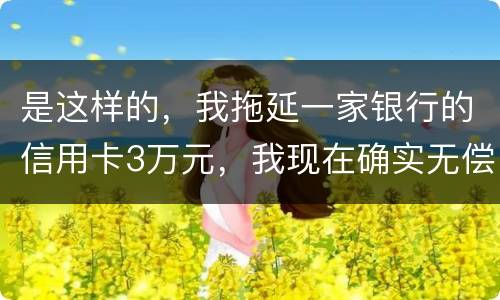 是这样的，我拖延一家银行的信用卡3万元，我现在确实无偿还本领，该要怎样办
