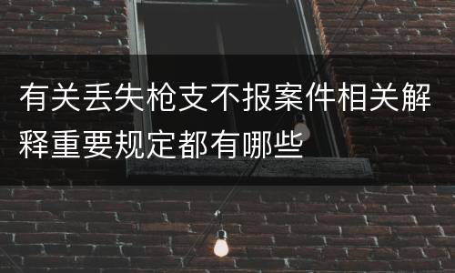 有关丢失枪支不报案件相关解释重要规定都有哪些