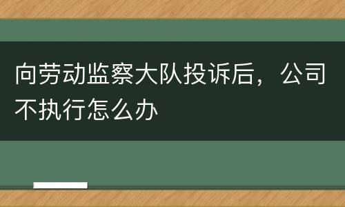 向劳动监察大队投诉后，公司不执行怎么办