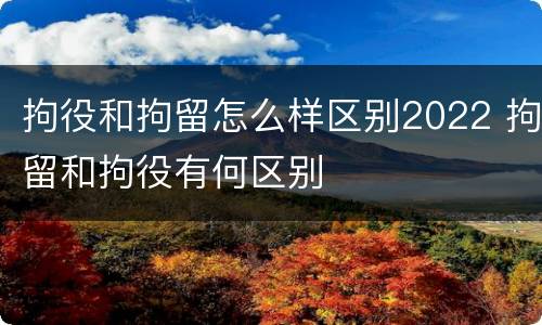 拘役和拘留怎么样区别2022 拘留和拘役有何区别