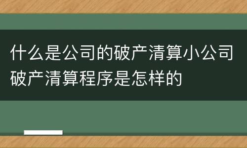 什么是公司的破产清算小公司破产清算程序是怎样的