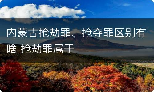 内蒙古抢劫罪、抢夺罪区别有啥 抢劫罪属于