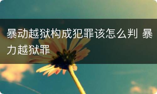 暴动越狱构成犯罪该怎么判 暴力越狱罪