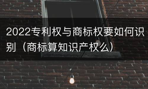 2022专利权与商标权要如何识别（商标算知识产权么）