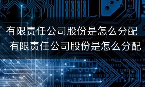 有限责任公司股份是怎么分配 有限责任公司股份是怎么分配出来的