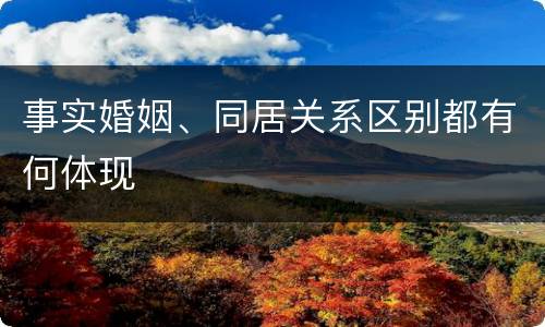 事实婚姻、同居关系区别都有何体现