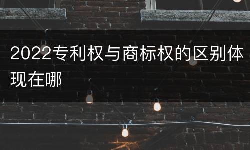 2022专利权与商标权的区别体现在哪