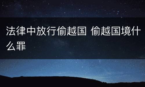 法律中放行偷越国 偷越国境什么罪