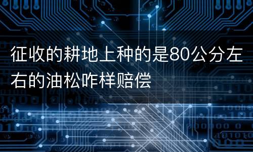 征收的耕地上种的是80公分左右的油松咋样赔偿
