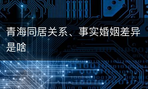 青海同居关系、事实婚姻差异是啥