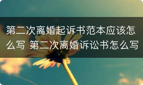 第二次离婚起诉书范本应该怎么写 第二次离婚诉讼书怎么写