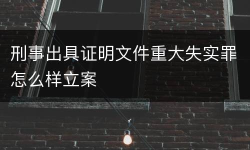 刑事出具证明文件重大失实罪怎么样立案