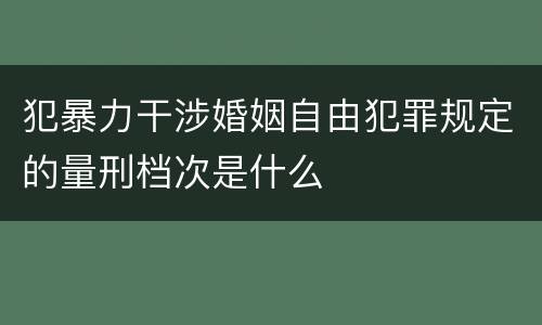 犯暴力干涉婚姻自由犯罪规定的量刑档次是什么
