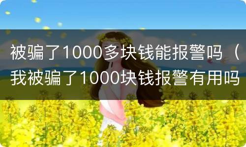 被骗了1000多块钱能报警吗（我被骗了1000块钱报警有用吗）