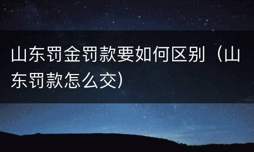山东罚金罚款要如何区别（山东罚款怎么交）