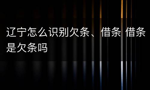辽宁怎么识别欠条、借条 借条是欠条吗
