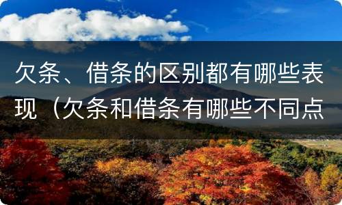 欠条、借条的区别都有哪些表现（欠条和借条有哪些不同点）