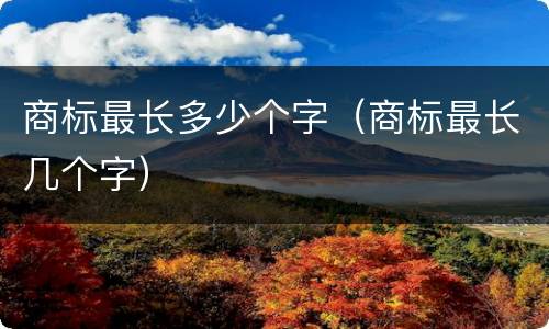 商标最长多少个字（商标最长几个字）