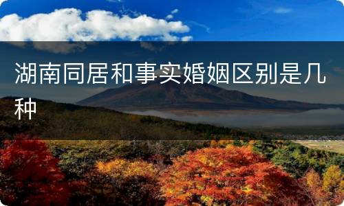 湖南同居和事实婚姻区别是几种