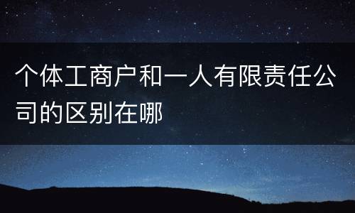个体工商户和一人有限责任公司的区别在哪