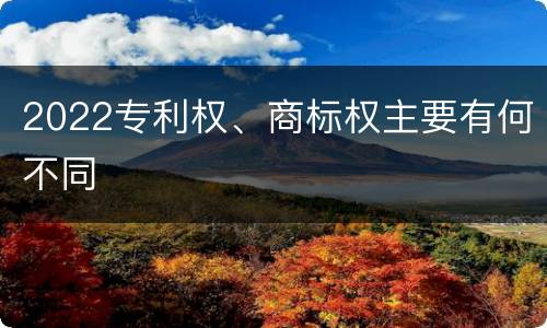 2022专利权、商标权主要有何不同