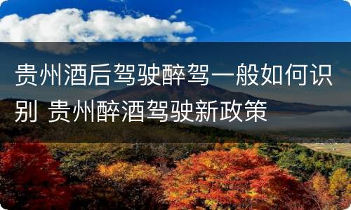贵州酒后驾驶醉驾一般如何识别 贵州醉酒驾驶新政策