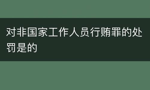 对非国家工作人员行贿罪的处罚是的