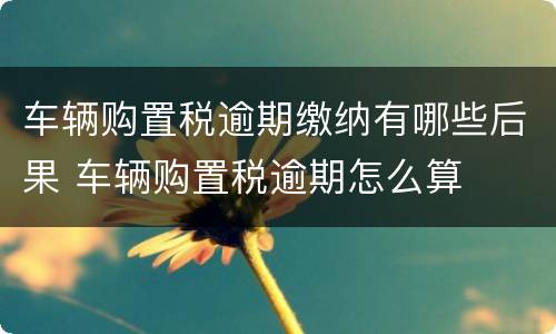 车辆购置税逾期缴纳有哪些后果 车辆购置税逾期怎么算