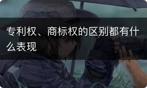 专利权、商标权的区别都有什么表现