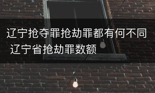 辽宁抢夺罪抢劫罪都有何不同 辽宁省抢劫罪数额