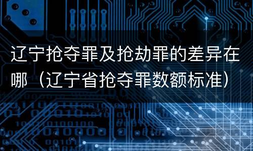 辽宁抢夺罪及抢劫罪的差异在哪（辽宁省抢夺罪数额标准）