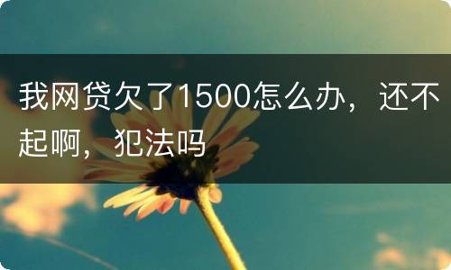 我网贷欠了1500怎么办，还不起啊，犯法吗