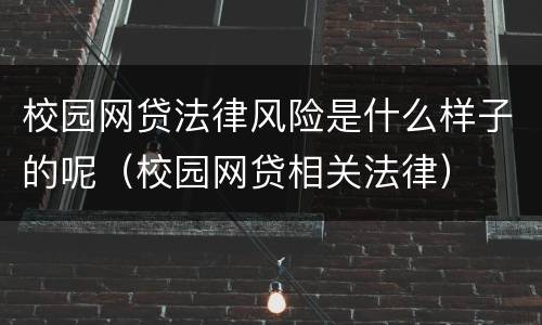 校园网贷法律风险是什么样子的呢（校园网贷相关法律）