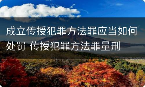 成立传授犯罪方法罪应当如何处罚 传授犯罪方法罪量刑