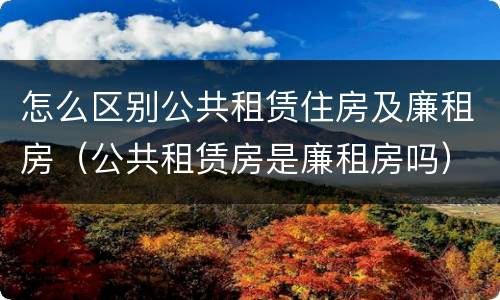 怎么区别公共租赁住房及廉租房（公共租赁房是廉租房吗）