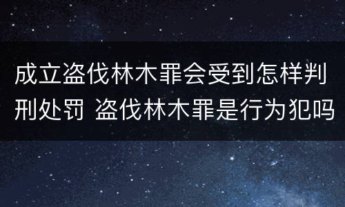 成立盗伐林木罪会受到怎样判刑处罚 盗伐林木罪是行为犯吗