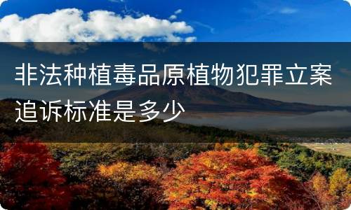 非法种植毒品原植物犯罪立案追诉标准是多少