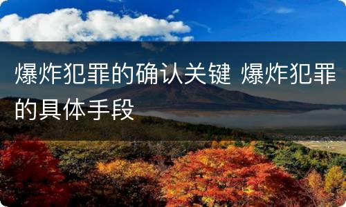 爆炸犯罪的确认关键 爆炸犯罪的具体手段