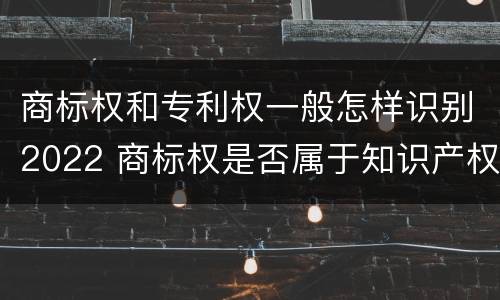 商标权和专利权一般怎样识别2022 商标权是否属于知识产权