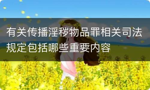 有关传播淫秽物品罪相关司法规定包括哪些重要内容