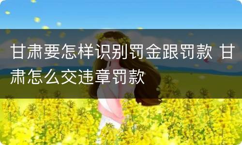 甘肃要怎样识别罚金跟罚款 甘肃怎么交违章罚款