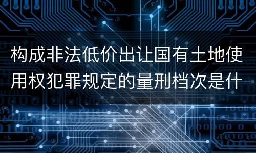 构成非法低价出让国有土地使用权犯罪规定的量刑档次是什么样的